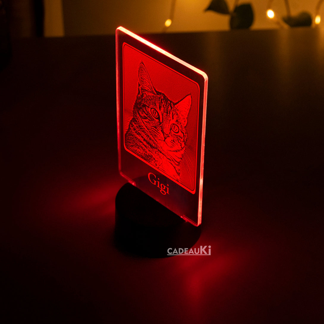 Op maat gemaakte LED-lamp met kattenportret 'Gigi' in warme rode verlichting.