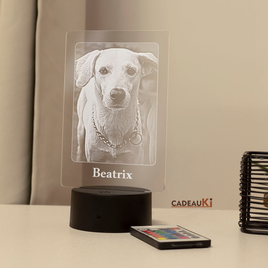 Huiselijke LED-lamp met gepersonaliseerde hondenfoto 'Beatrix' en koele verlichting