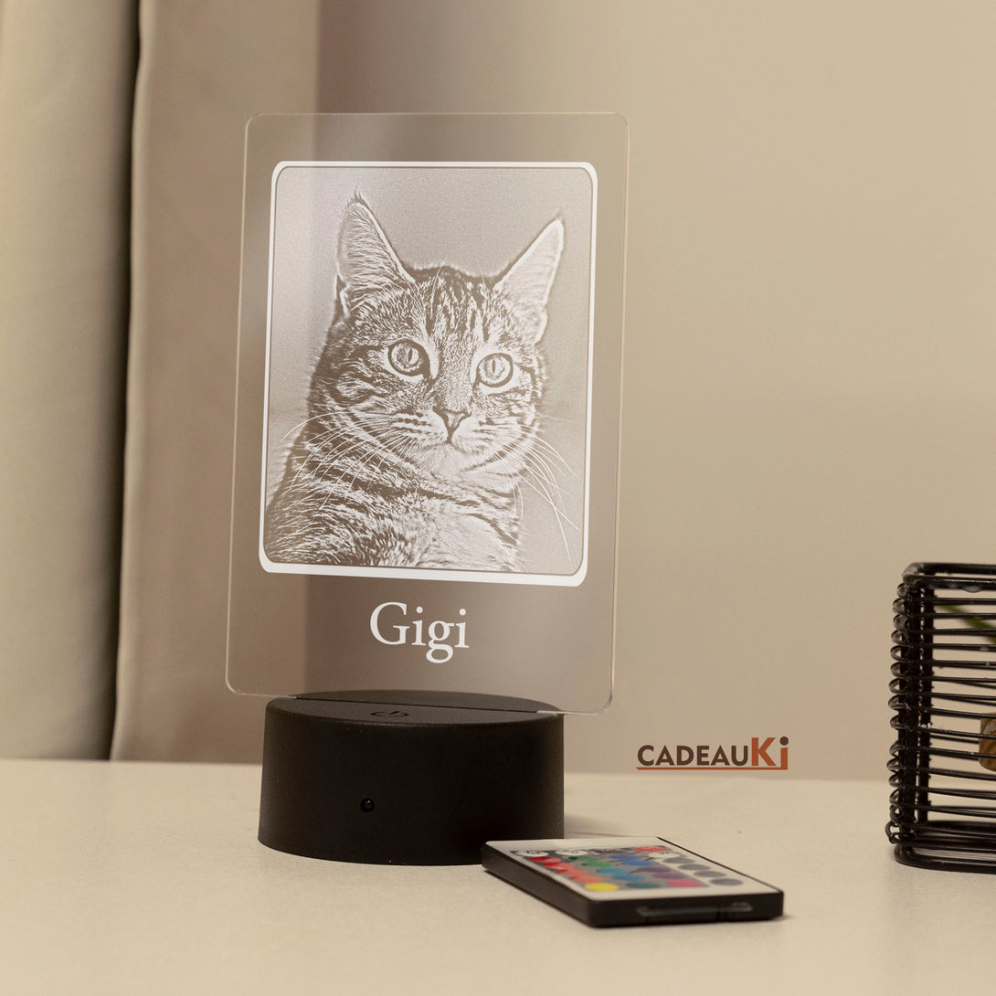 Gegraveerde herdenkingslamp met kattenportret 'Gigi' in een huiselijke setting.