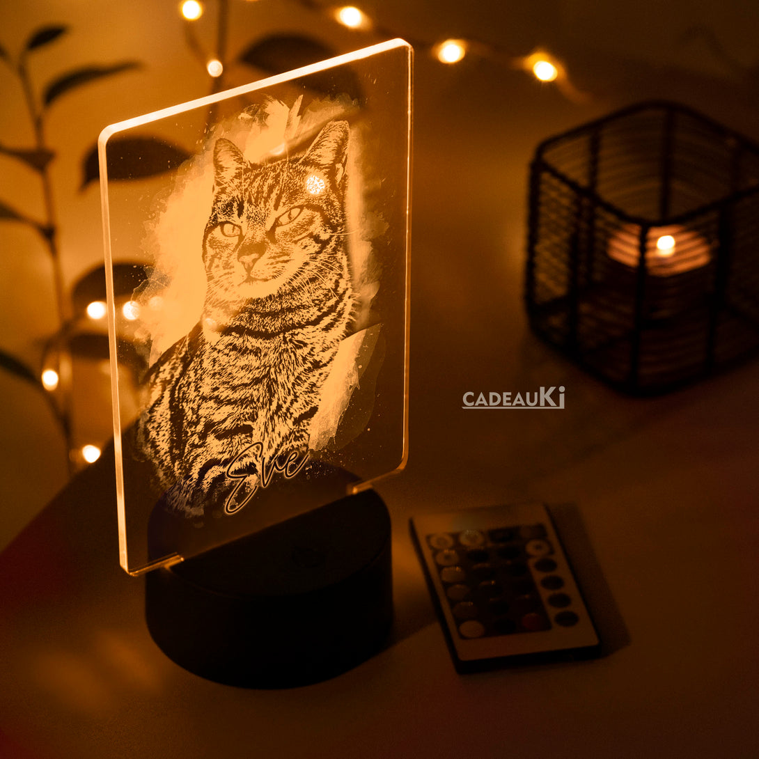 Oranje lichtgevende gepersonaliseerde huisdier herdenkingslamp met gegraveerde kattensilhouet.