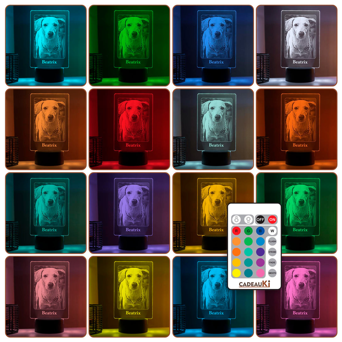 LED-lamp met meerkleurige verlichtingsopties en gegraveerde foto van hond 'Beatrix'